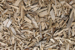 biomass boilers Braefindon